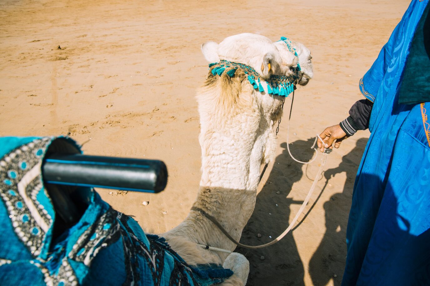 Morocco desert tour